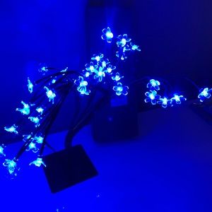 Bonsai tree light